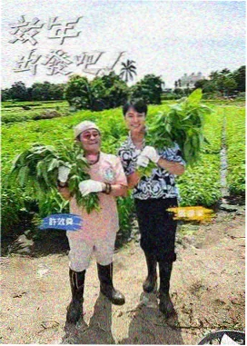 CC视频综艺推荐 声线猜猜猜 海报